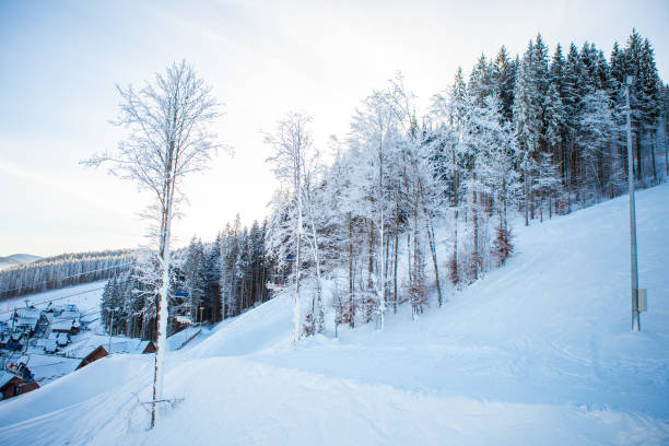 istock View of beautiful snowy mountains, forests 875261722