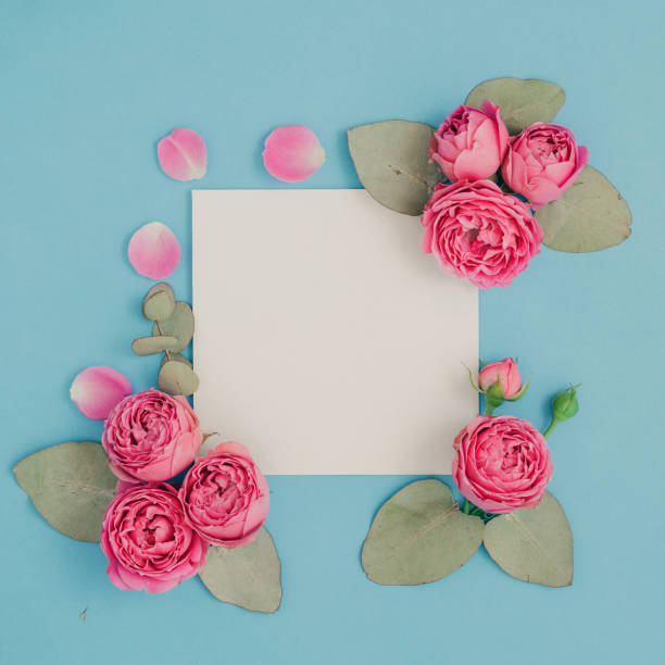 istock Layout with pink roses and eucalyptus leaves on a blue background. Flat lay 875269996