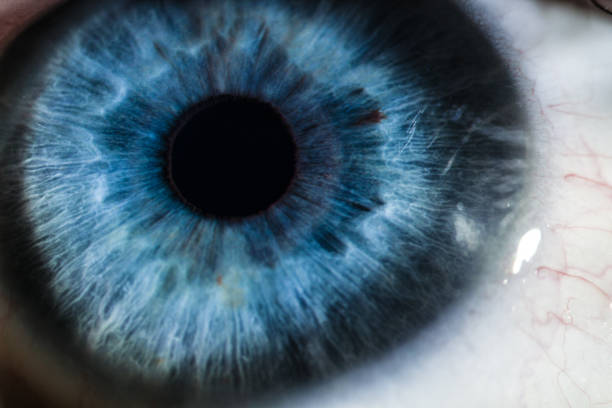 istock An enlarged image of eye with a blue iris, eyelashes and sclera. 875273472