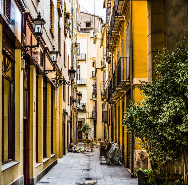 istock Alley in Valencia 875275386
