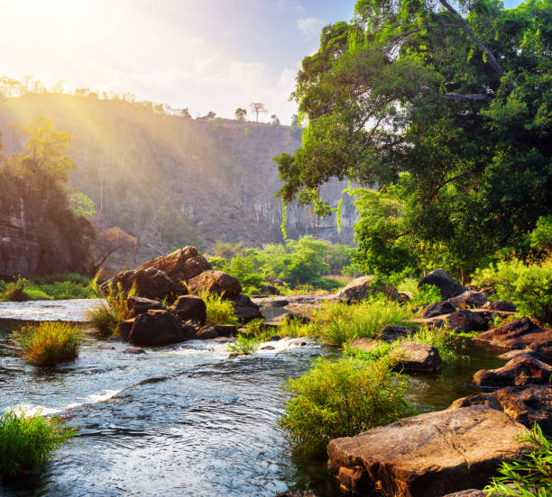istock River with crystal water among woods. Sunny forest landscape 875280294