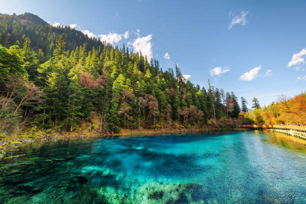 istock The Five Coloured Pool with azure water among autumn woods 875281540