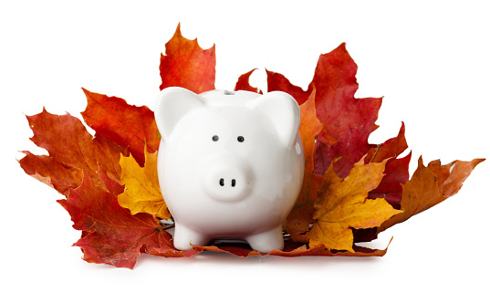 piggy bank in autumn leaves isolated on a white background