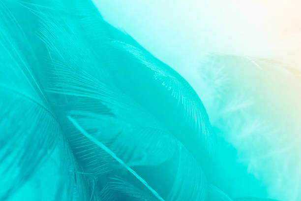 istock Green turquoise and blue color trends feather texture background,Light orange 875285284