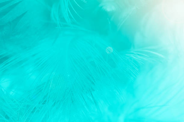 istock Green turquoise and blue color trends feather texture background,Light orange 875285306