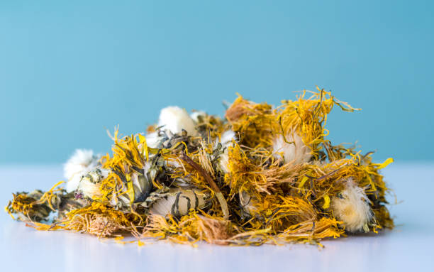 istock Heap Of Dried Dandelion Tea Herb 875286060