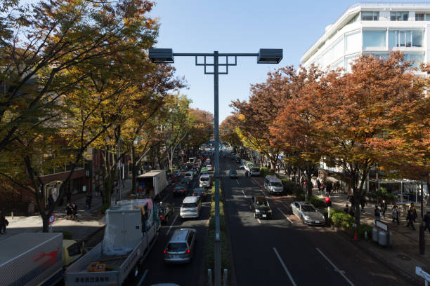 calle de omotesanto en tokio, japón - omotesando hills fotografías e imágenes de stock