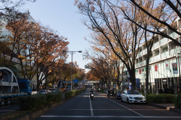 calle de omotesanto en tokio, japón - omotesando hills fotografías e imágenes de stock