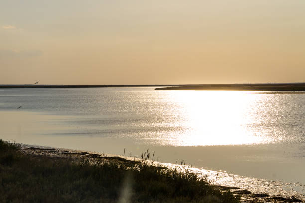 istock View on the Sivash lake, Ukraine 875289658