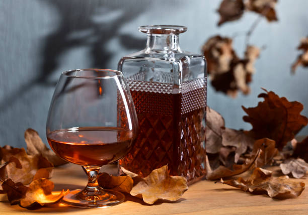 istock Brandy and dried up oak leaves . 875293278