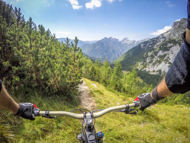 istock Mountain bike ride in Alps POV 875297600