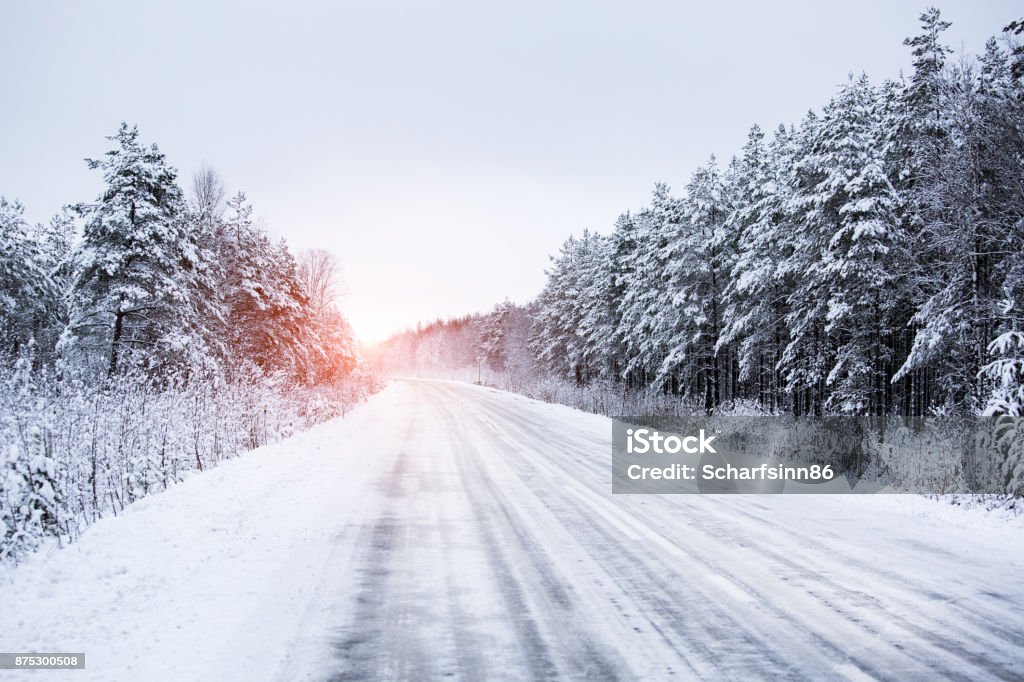 Winter road through the forest Winter road through the forest in countryside. Winter Stock Photo