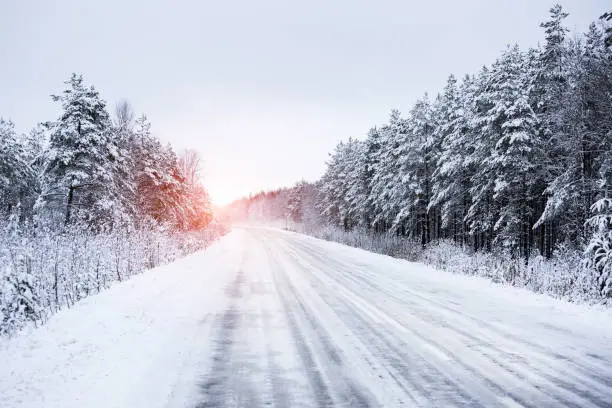 Photo of Winter road through the forest