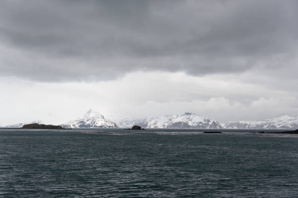 istock South Georgia landscape 875300668