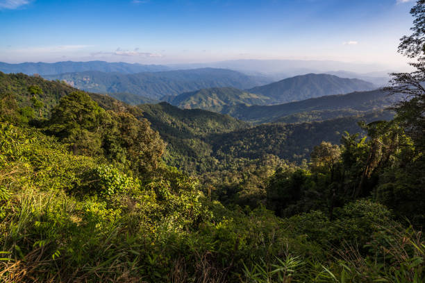 istock Mountains range view behind the mist of forest and tree 875308392