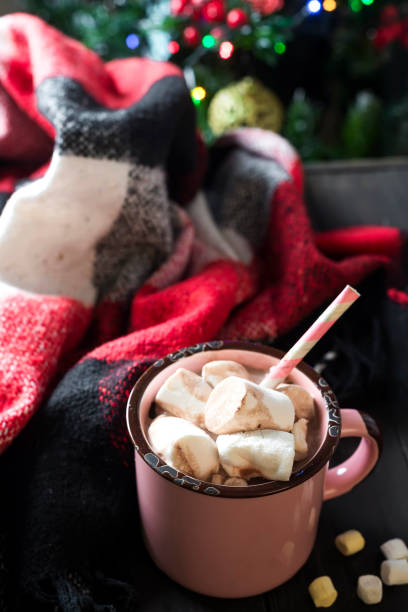 istock Enamel cup of hot cocoa with marshmallows 875316024