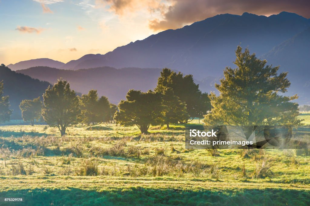 Beautiful scenery landscape of the Matheson Lake Fox Glacier town Southern Alps Mountain Valleys New Zealand Adult Stock Photo