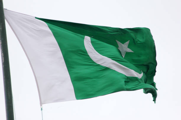 istock Waving Pakistan flag 875331724