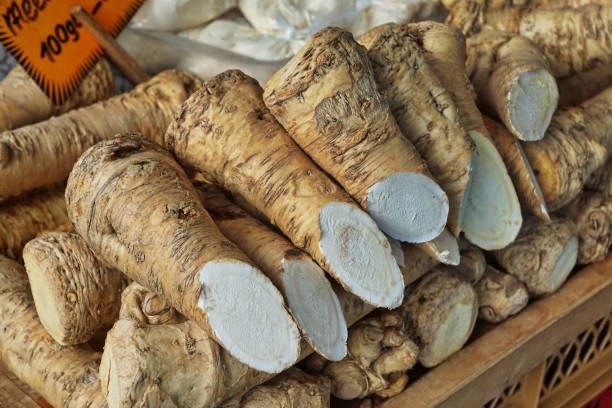 istock Horseradish at the Viktualienmarkt. Munich, Bavaria. 875332154