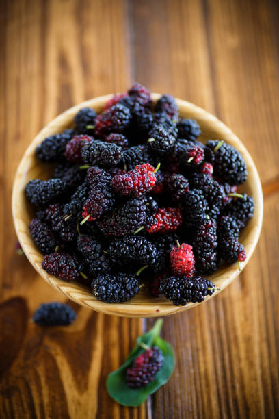 istock Ripe berry of black mulberry 875334200