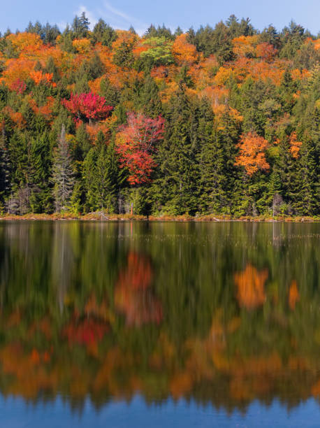 istock Autumn Fall Colors Reflecting in Still Lake in New England 875334440