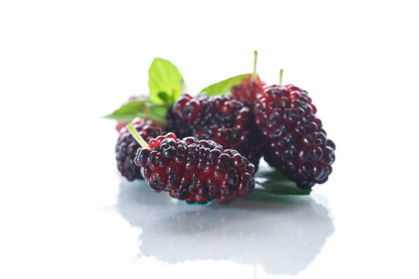 istock Ripe berry of black mulberry 875335094