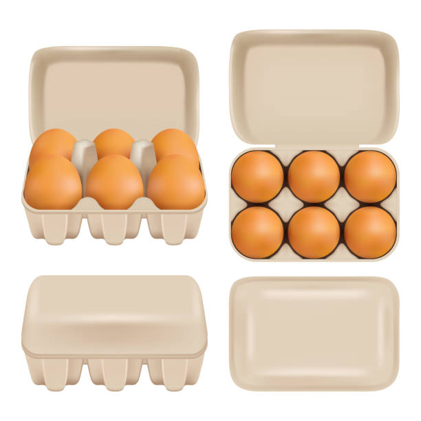 illustrations, cliparts, dessins animés et icônes de vector oeufs carton consommateur pack jeu - protein isolated shell food