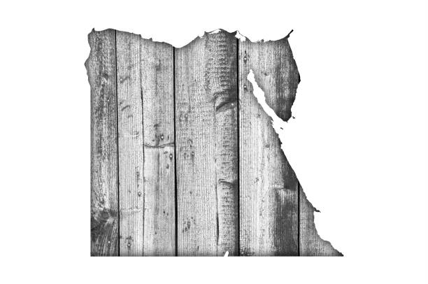istock Map of Egypt on weathered wood 875336324