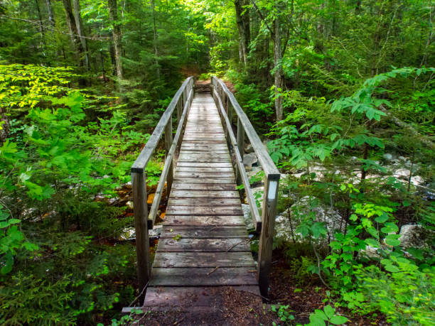 Wooden Bridge on Appalachian Trail in Green Mountains Vermont A wooden bridge on the Appalachian Trail in the Green Mountains of Vermont. appalachian trail photos stock pictures, royalty-free photos & images