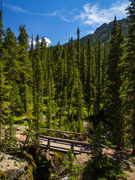 istock Wooden Bridge in Rocky Mountain Forest, Colorado 875340174