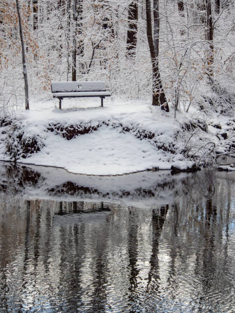 istock Bench Near Forest Creek in Winter 875340324