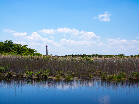 A view of the Cape May Lighthouse, New Jersey, across a marsh and pond.