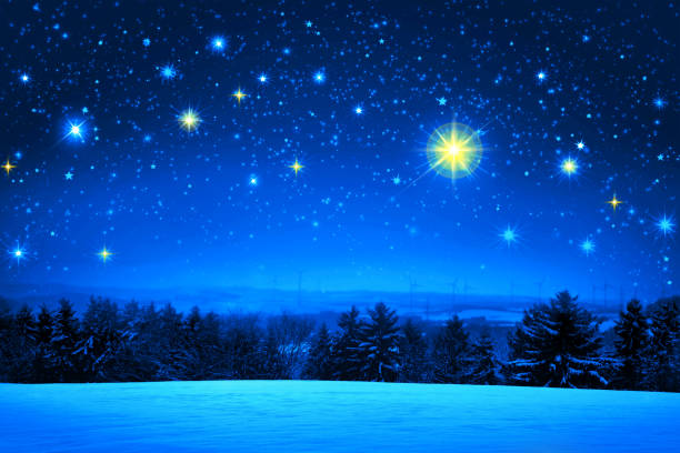 istock Christmas sky and winter fir trees 875343514