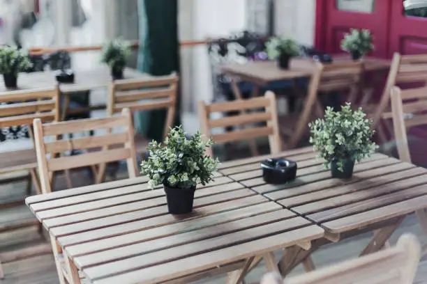 Photo of Outdoor restaurant table with potted plant on it