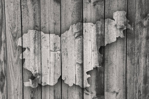 istock Map of Slovenia on weathered wood 875346640