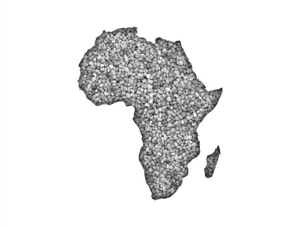 istock Map of Africa on poppy seeds 875352744