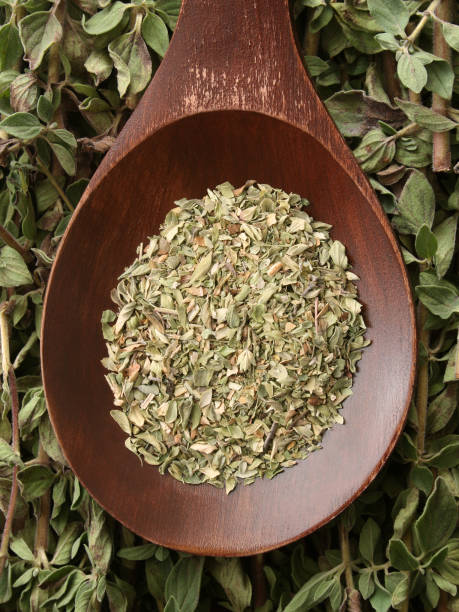 istock Dried and fresh oregano 875355868