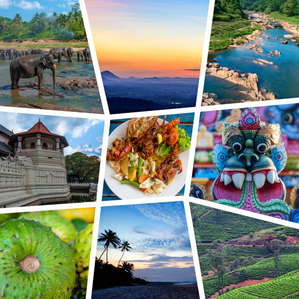 istock Sri Lanka travel collage 875362604