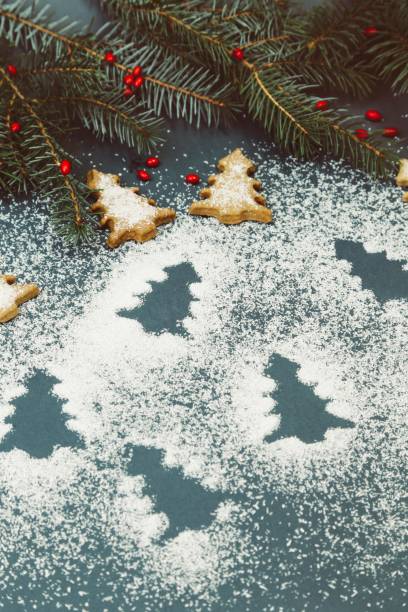 istock Christmas decoration - gingerbread cookies with fir branches 875369472