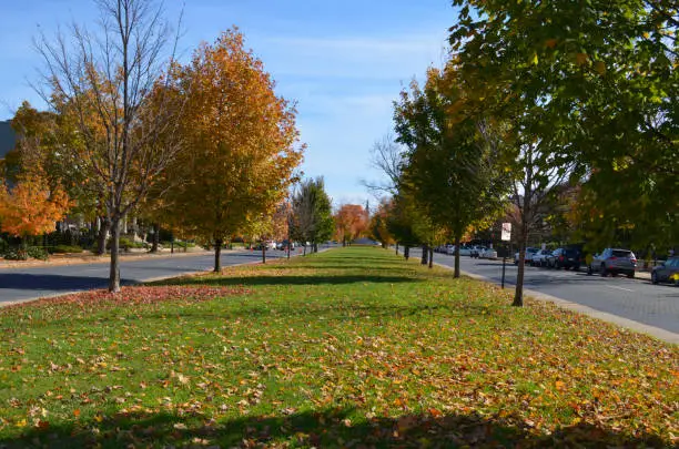 Fall in Richmond, VA