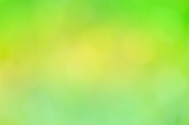 istock Bokeh in green natural background. 875377008