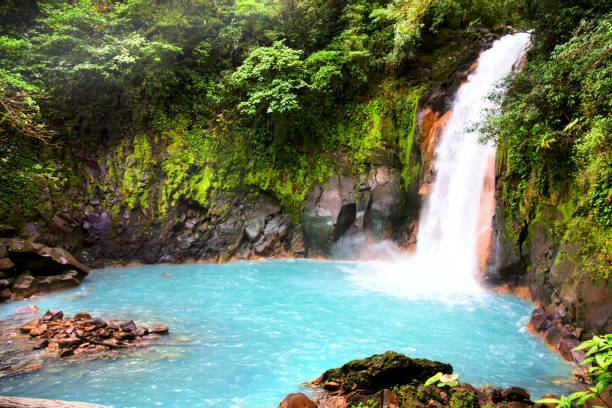 Beautiful Turquoise water of Rio Celeste Waterfall - Nature Phenomen of Costa Rica Beautiful Turquoise water of Rio Celeste Waterfall - Nature Phenomen of Costa Rica. ecological reserve photos stock pictures, royalty-free photos & images