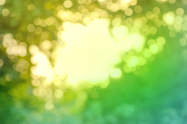 istock Beautiful nature green background with round bokeh 875383528