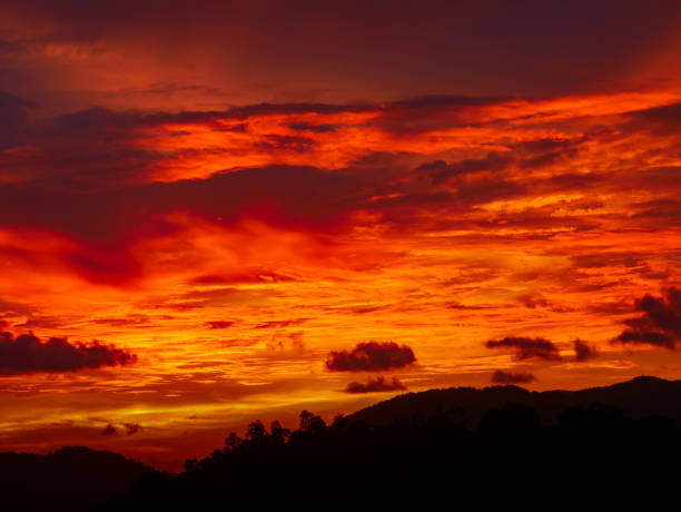 istock Twilight beautiful evening cloudy sky  after sunset background . There are silhouette mountains and trees. 875387934