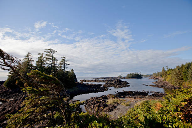 istock Ocean View along Wild Pacific Trail, Ucluelet 875391062