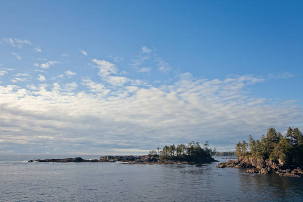 istock Ocean View along Wild Pacific Trail, Ucluelet 875394990
