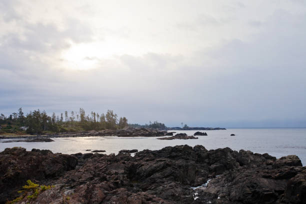 istock Ocean View along Wild Pacific Trail, Ucluelet 875395074