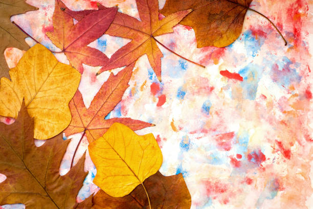 istock Colorful autumn leaves 875401610
