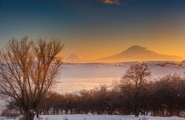 istock Gold sunset over forest in the Ararat mountains 875401916