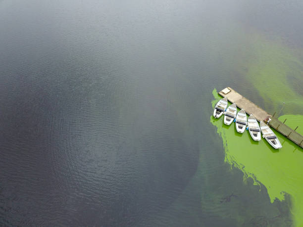 istock Calm lake with a jetty and boats at it 875402980